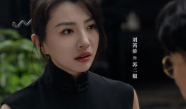 追捕者电视剧,正义与邪恶的较量